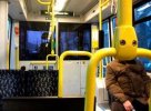 Bus.jpg