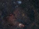 NGC 2264.JPG