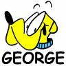 Georgetoon